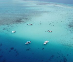 【３分でわかる！】ウルトラブルーってどんなショップ？